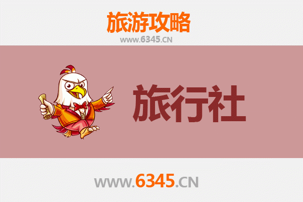 鹤岗旅行社精选推荐：解锁北国秘境，体验高性价比之旅